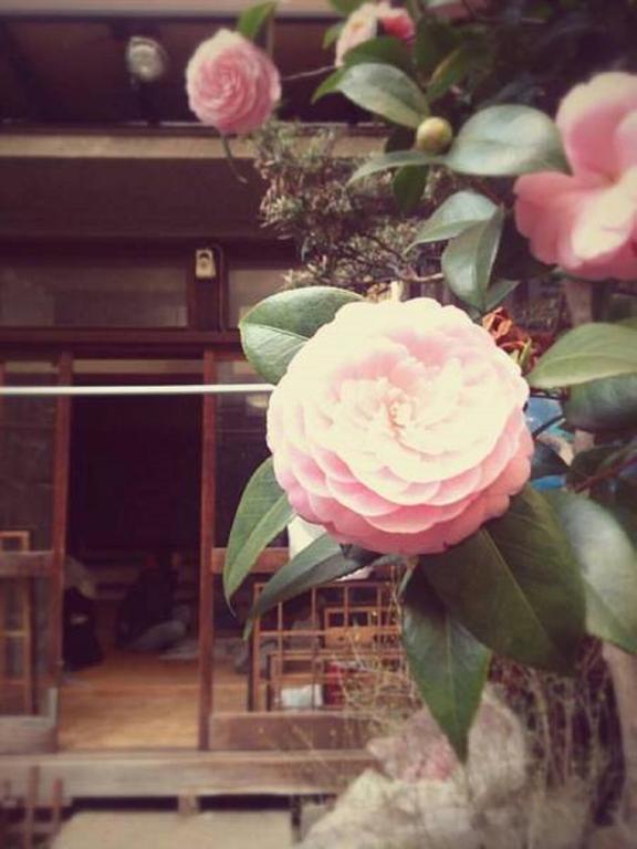 Gomaharu Guesthouse Osaka Dış mekan fotoğraf